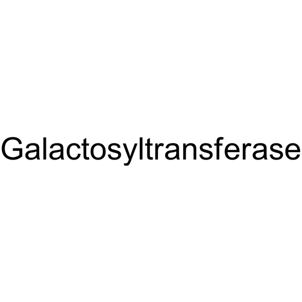 Galactosyltransferase 9031-68-9